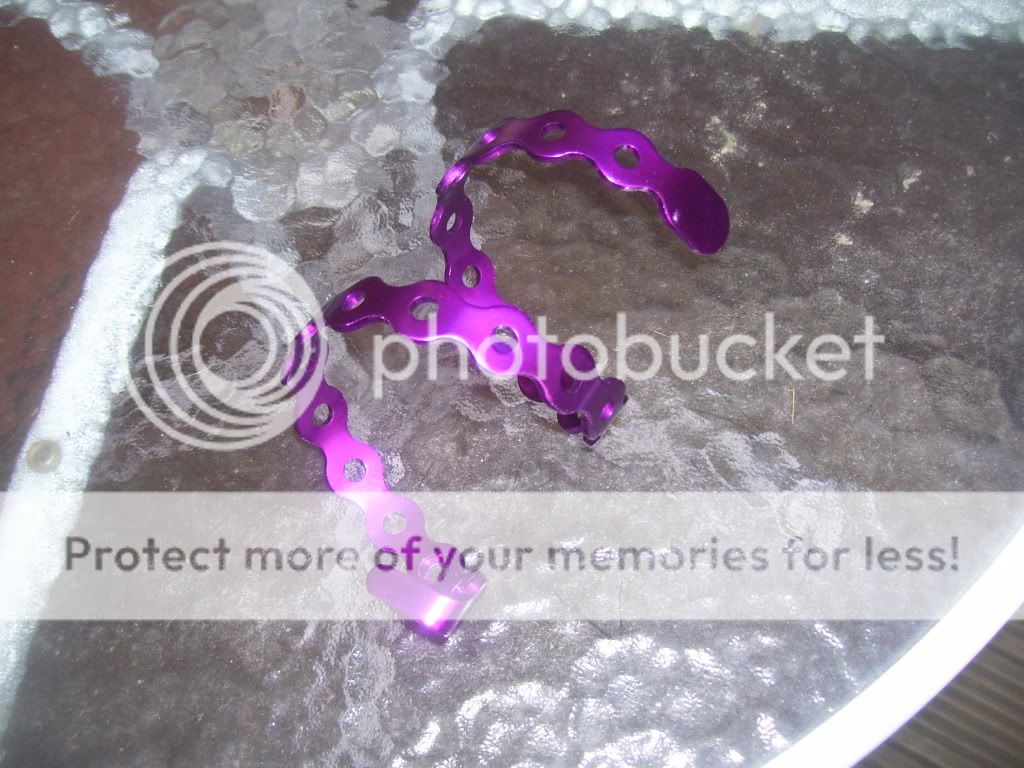 100_5317.jpg