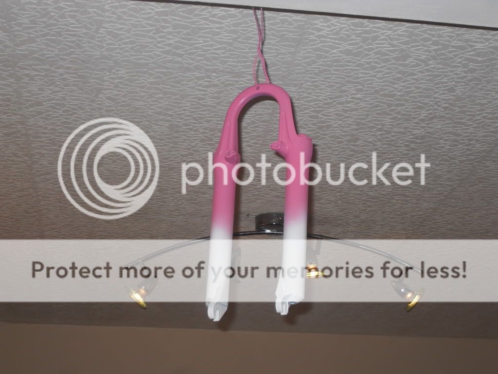 konapicture2010011-1.jpg