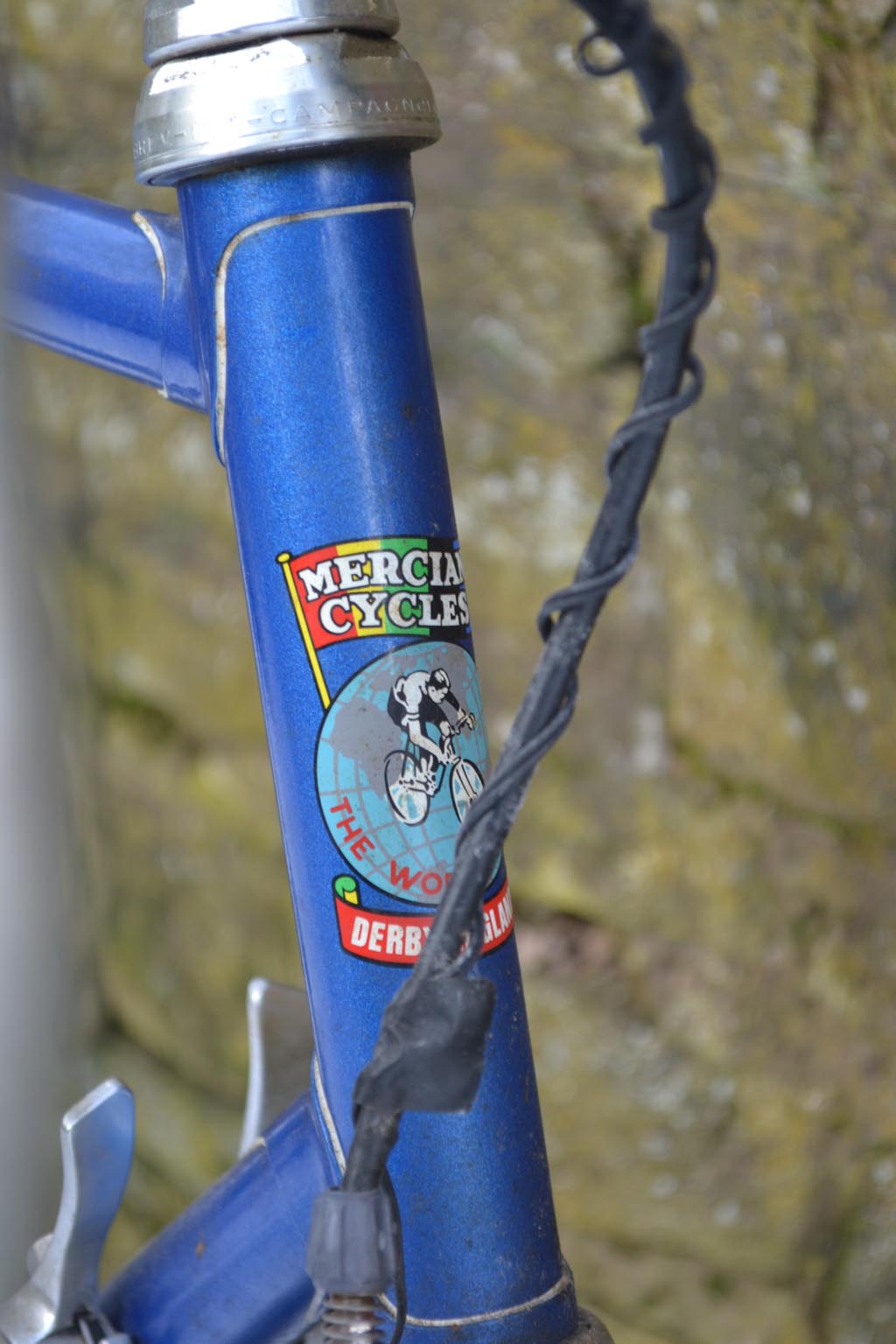 mercian03.jpg