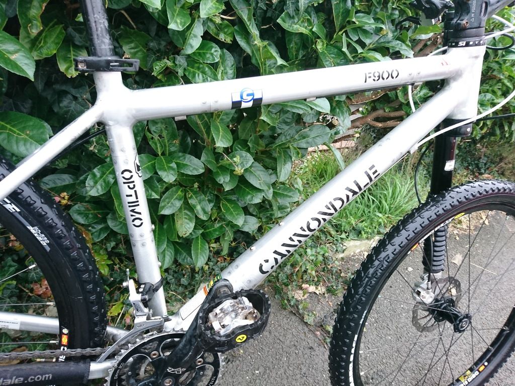 cannondale optimo mtb