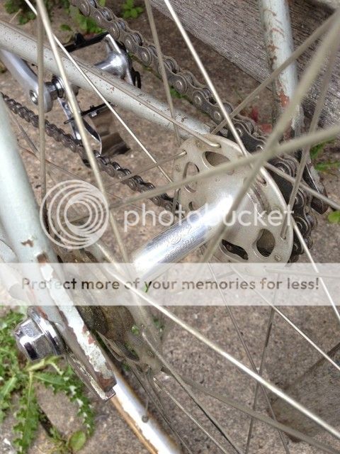 photo117.jpg