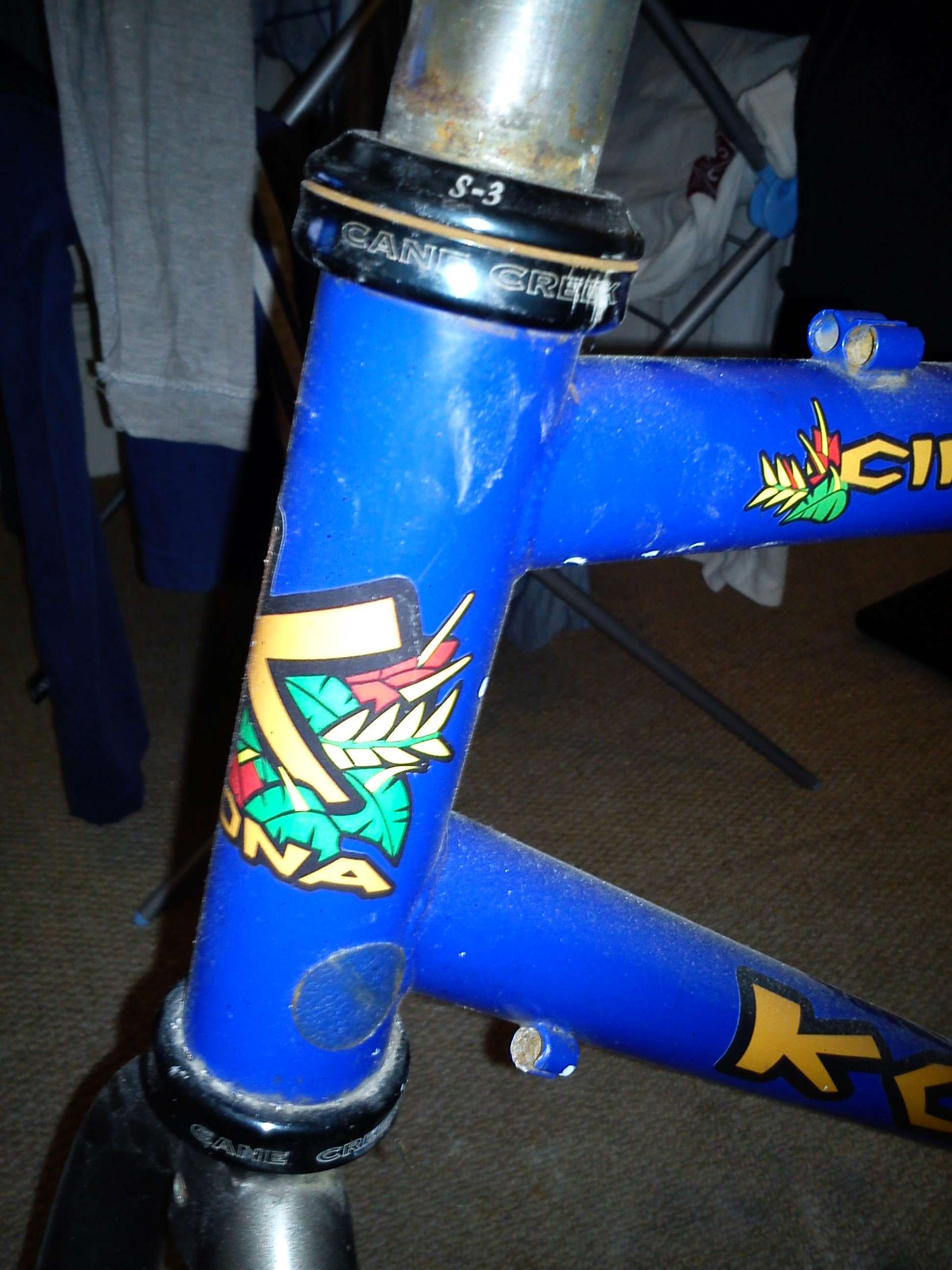 dsc00212hjw.jpg