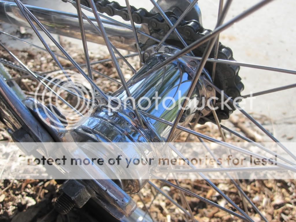 IMG_5152.jpg