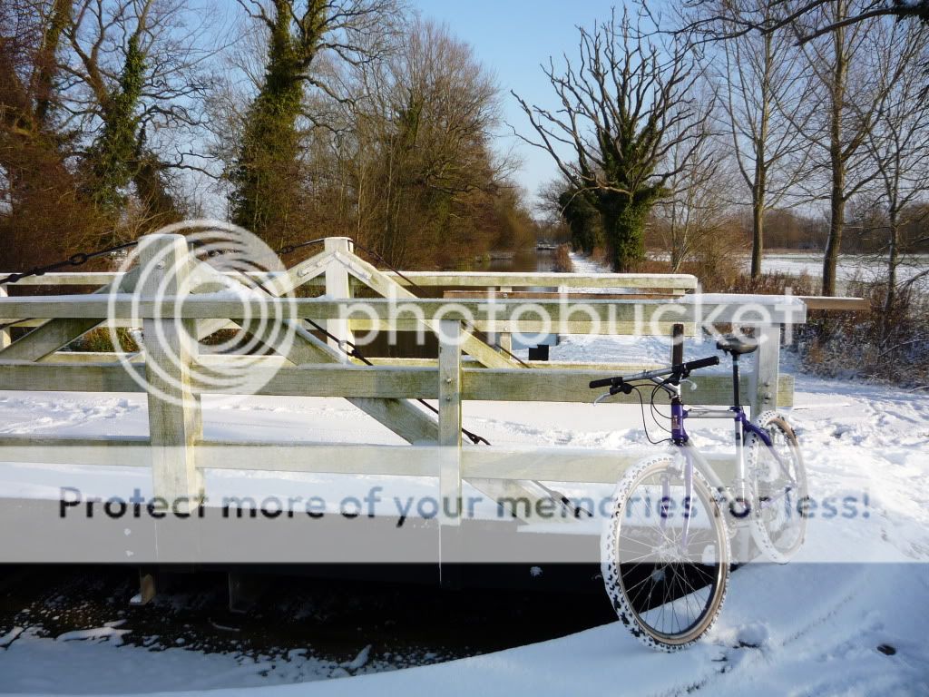 snow2009018-1.jpg