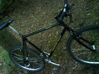 Diamondback ascent mountain top bike