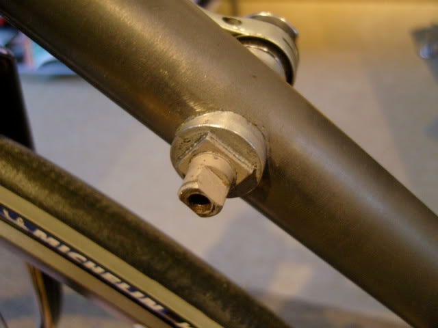 SNC15781.jpg