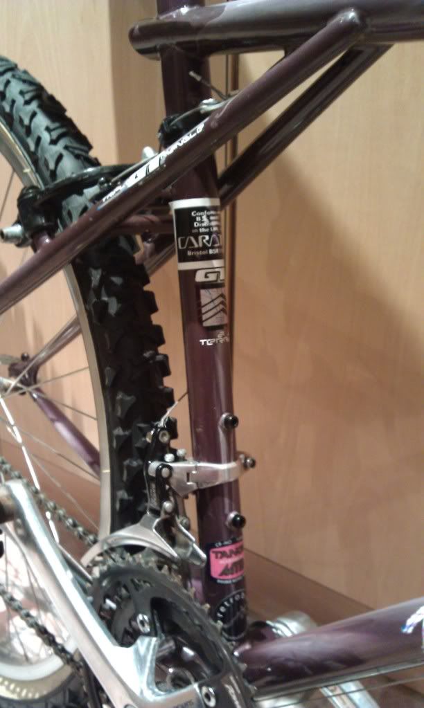 IMAG0374.jpg