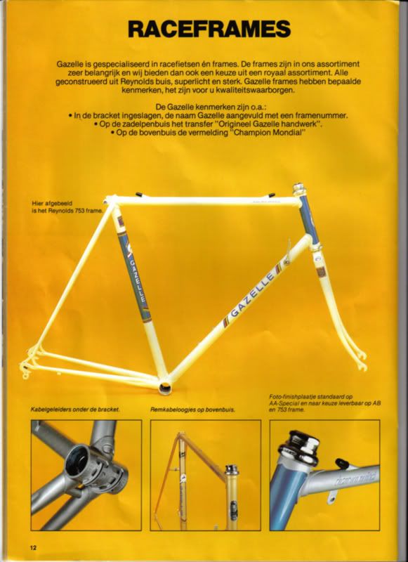 gazelle11.jpg