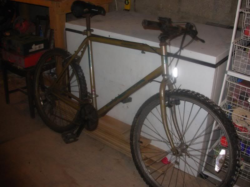 bianchi036.jpg