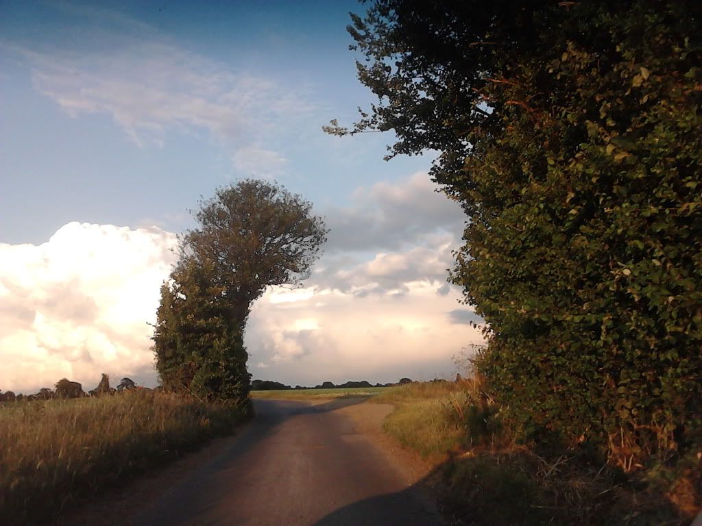 011-10.jpg
