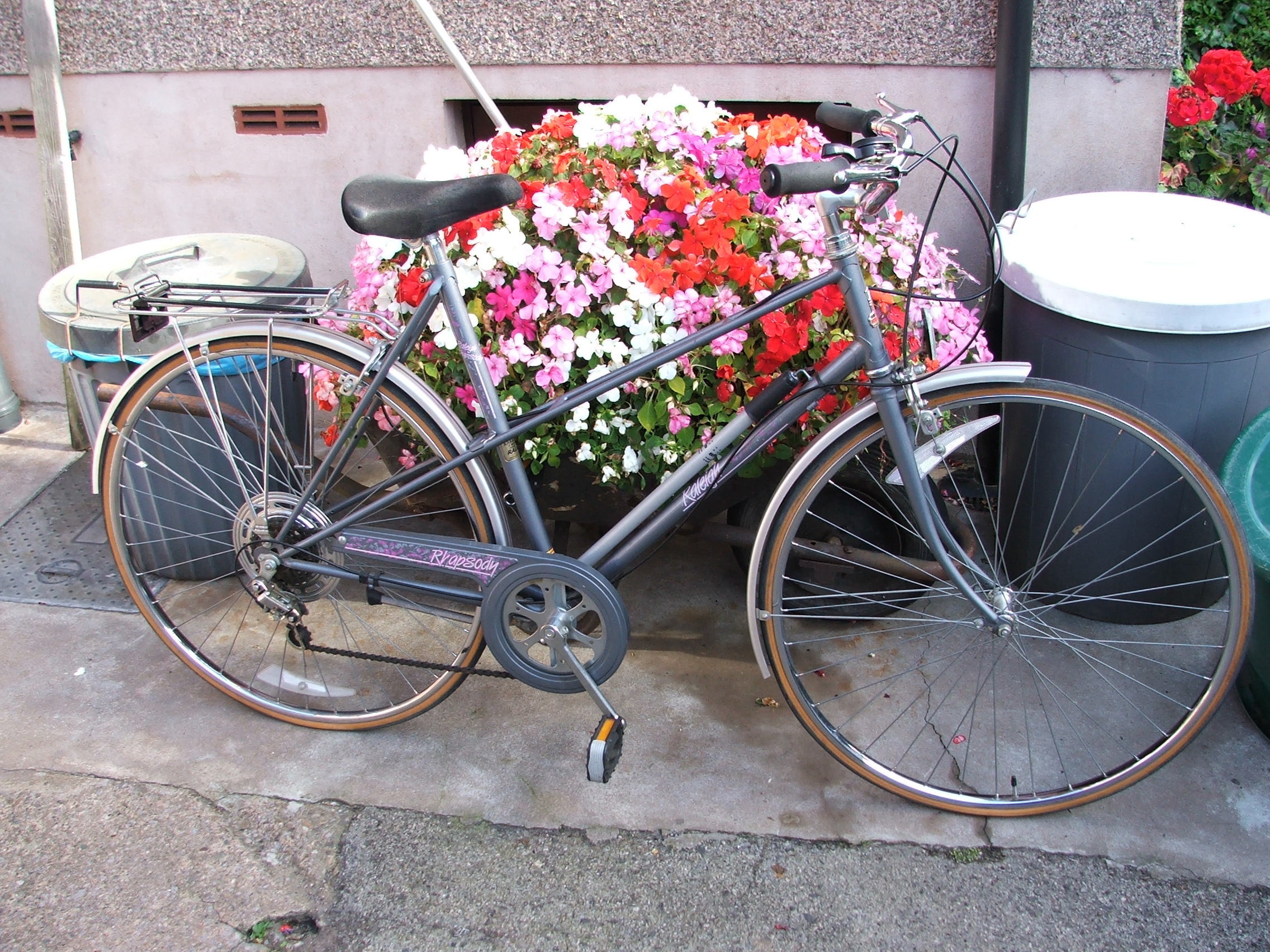 Ladies%20Bike.JPG