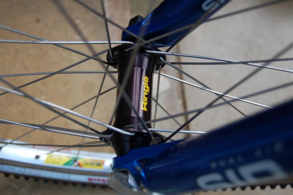 Ringle_Mavic004Large.jpg