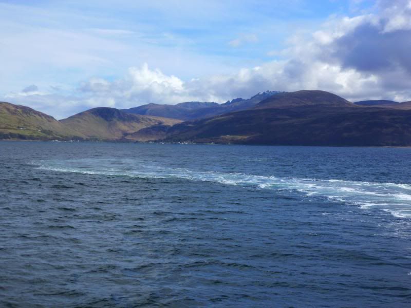 P1000773.jpg