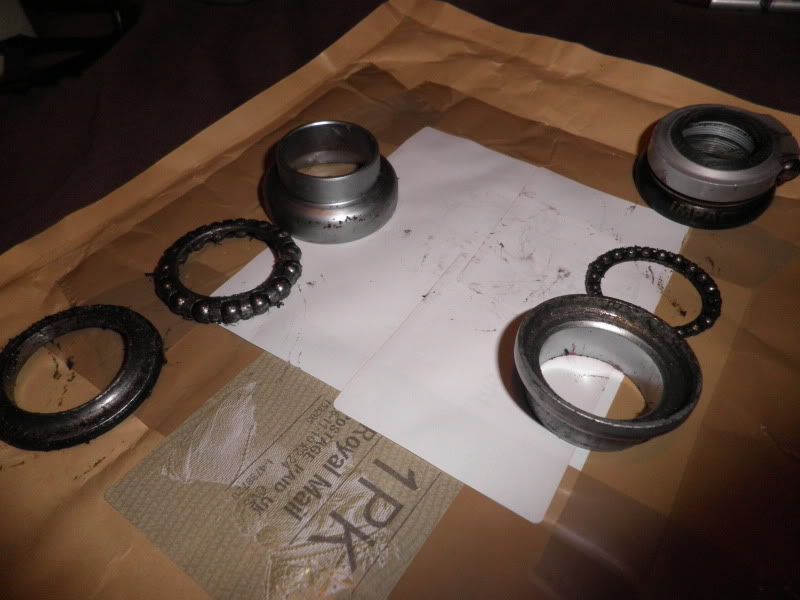 P1010170.jpg