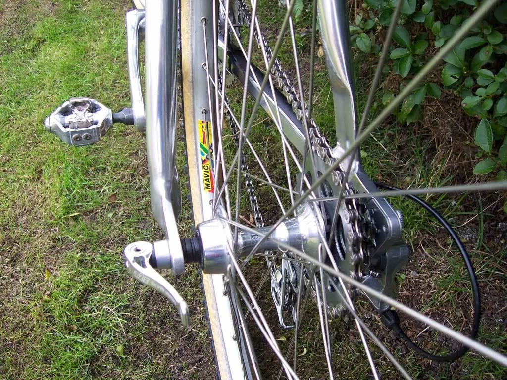 Bikerearend.jpg