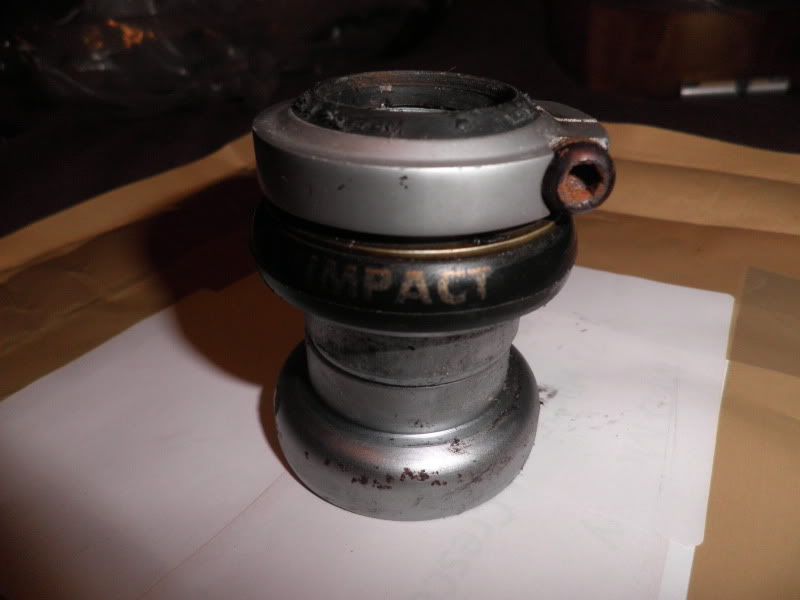 P1010169.jpg