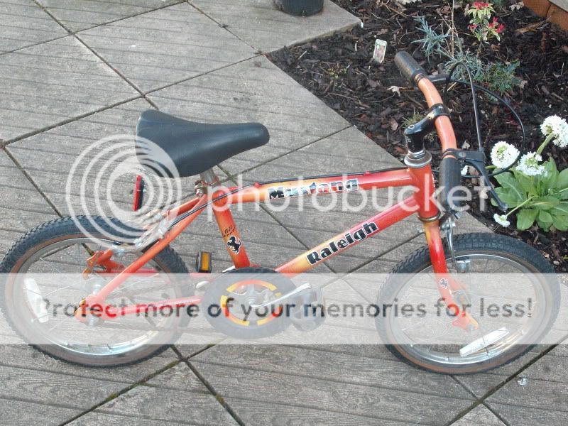 DSCF0649.jpg