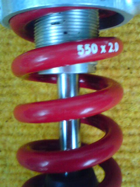 DSC01429.jpg