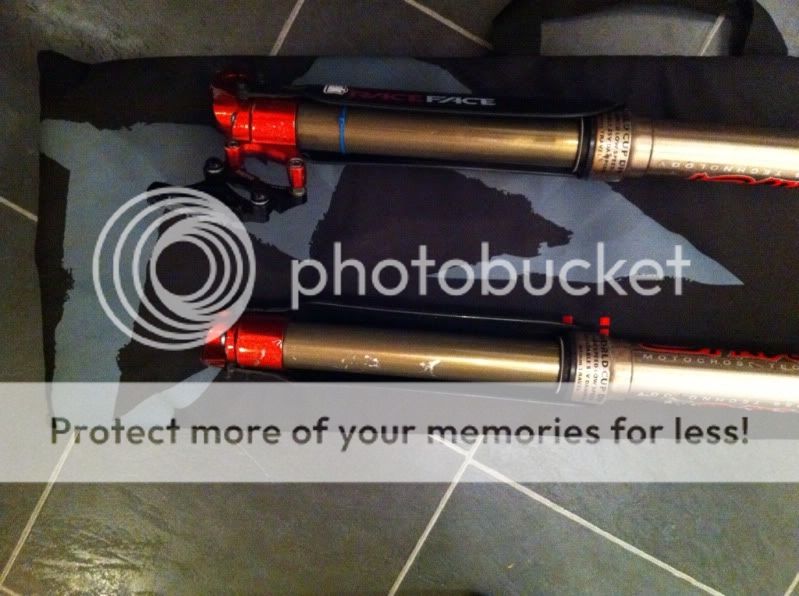 981bb1dc.jpg