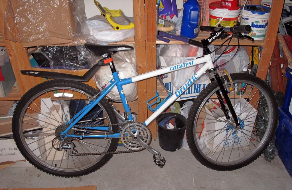 brodie02.jpg