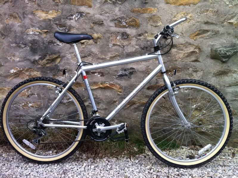 raleigh stow e way battery