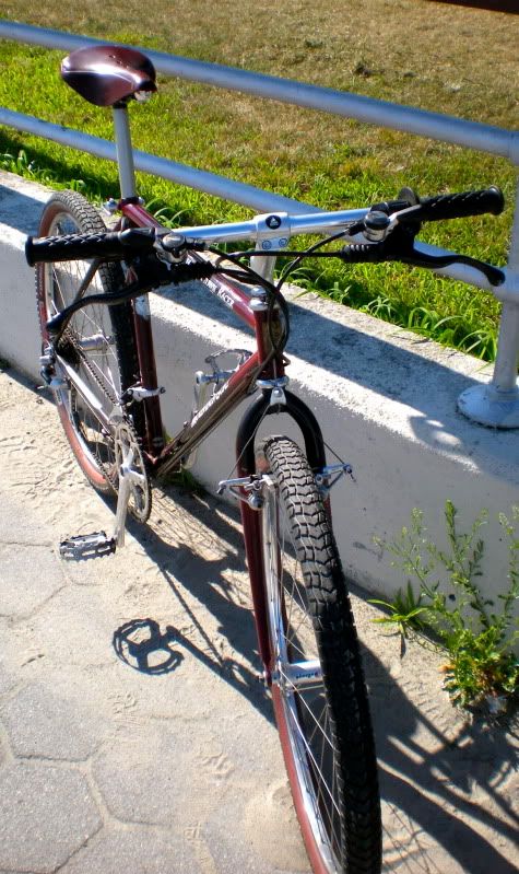 DSCN2372.jpg