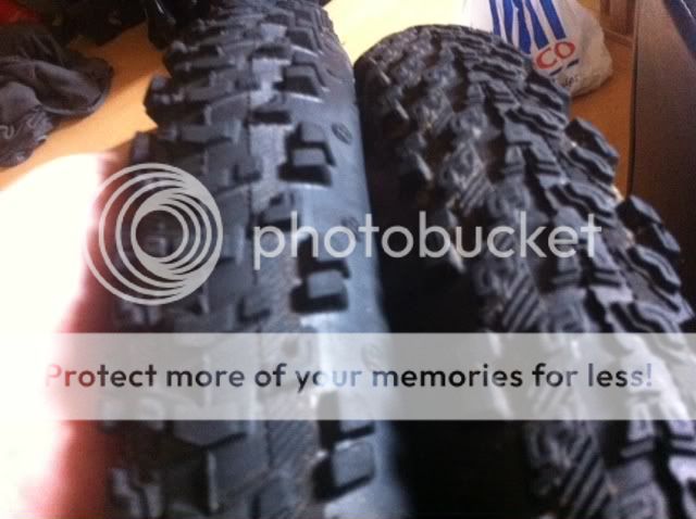 photo29.jpg