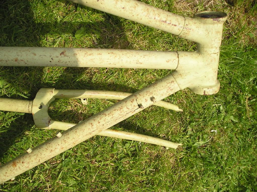 P1010022-1.jpg