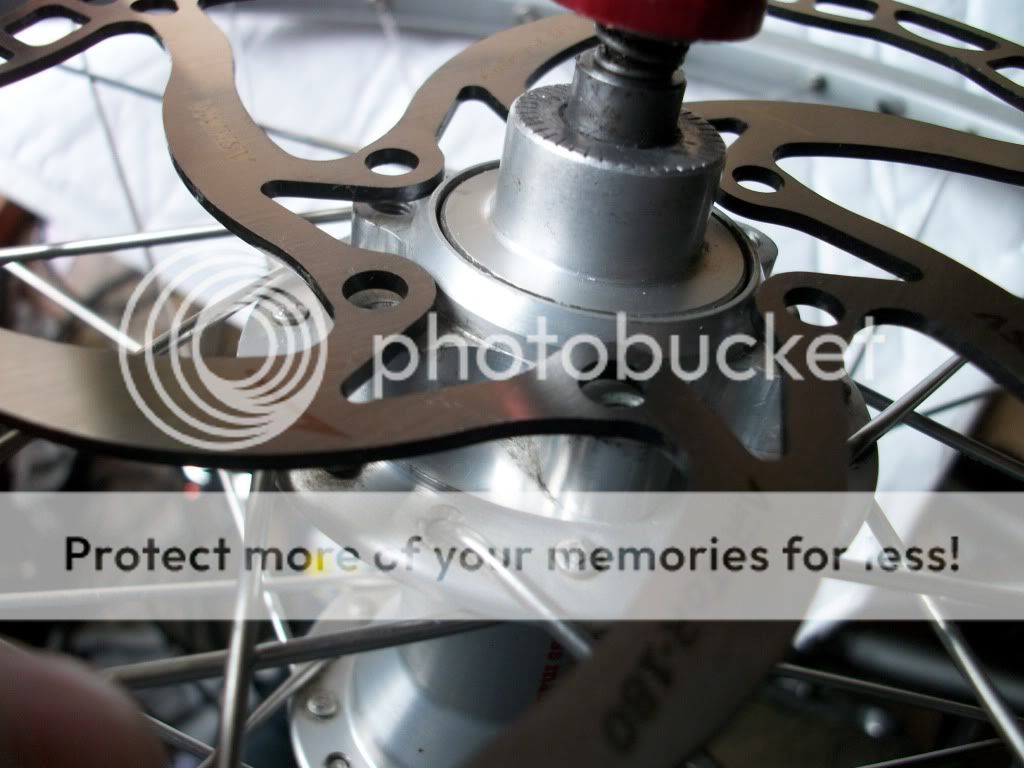 IMGP4042.jpg
