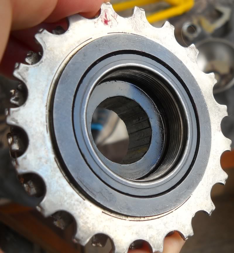 Freewheel08.jpg