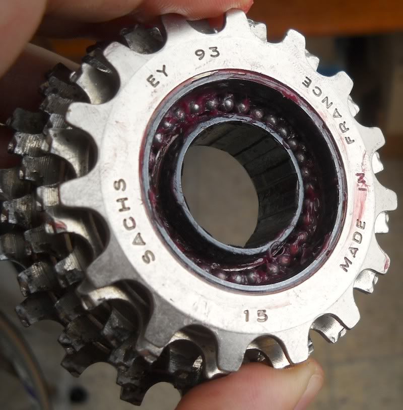 Freewheel10.jpg