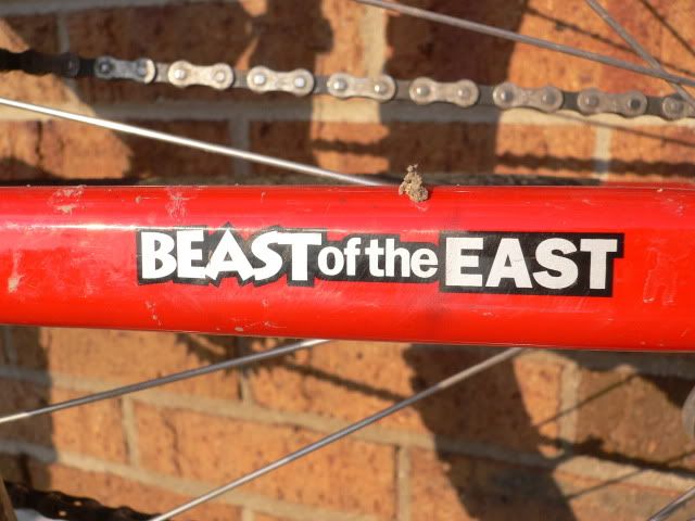 1995 M800 Cannondale Beast Of The East Retrobike