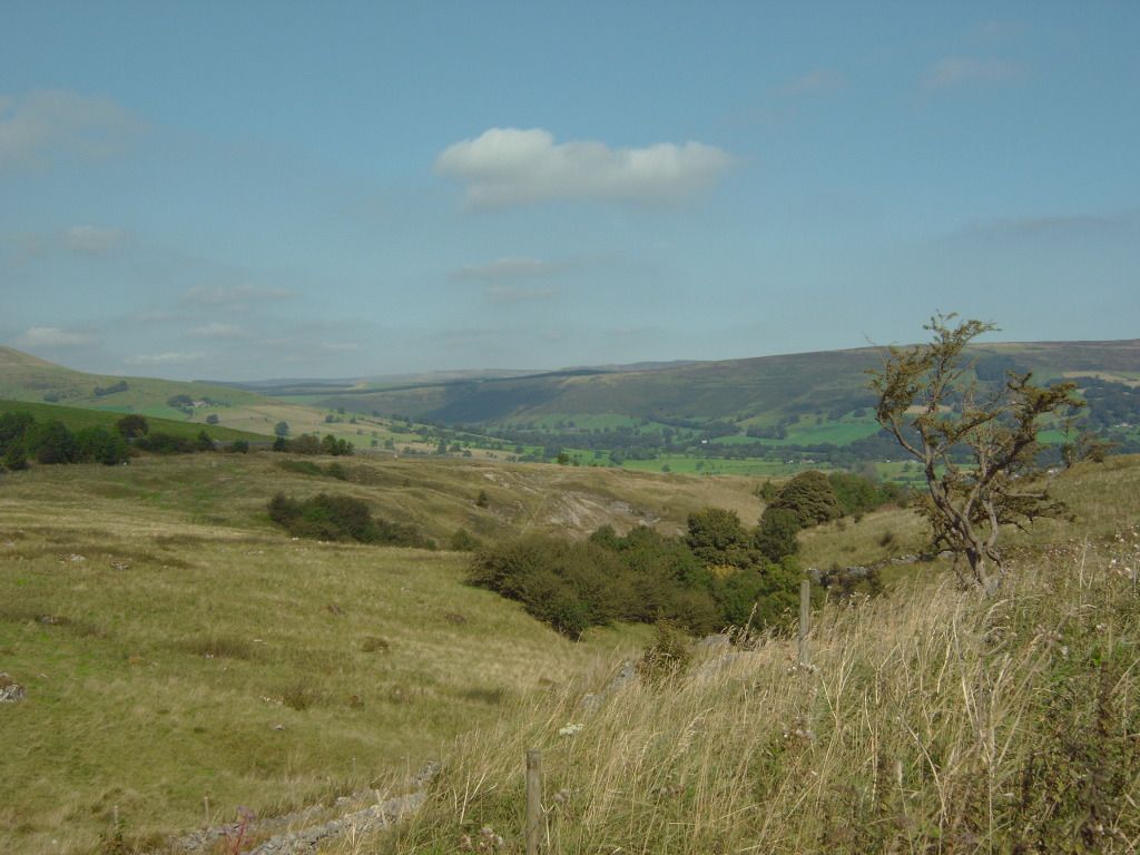 IMG00544.jpg