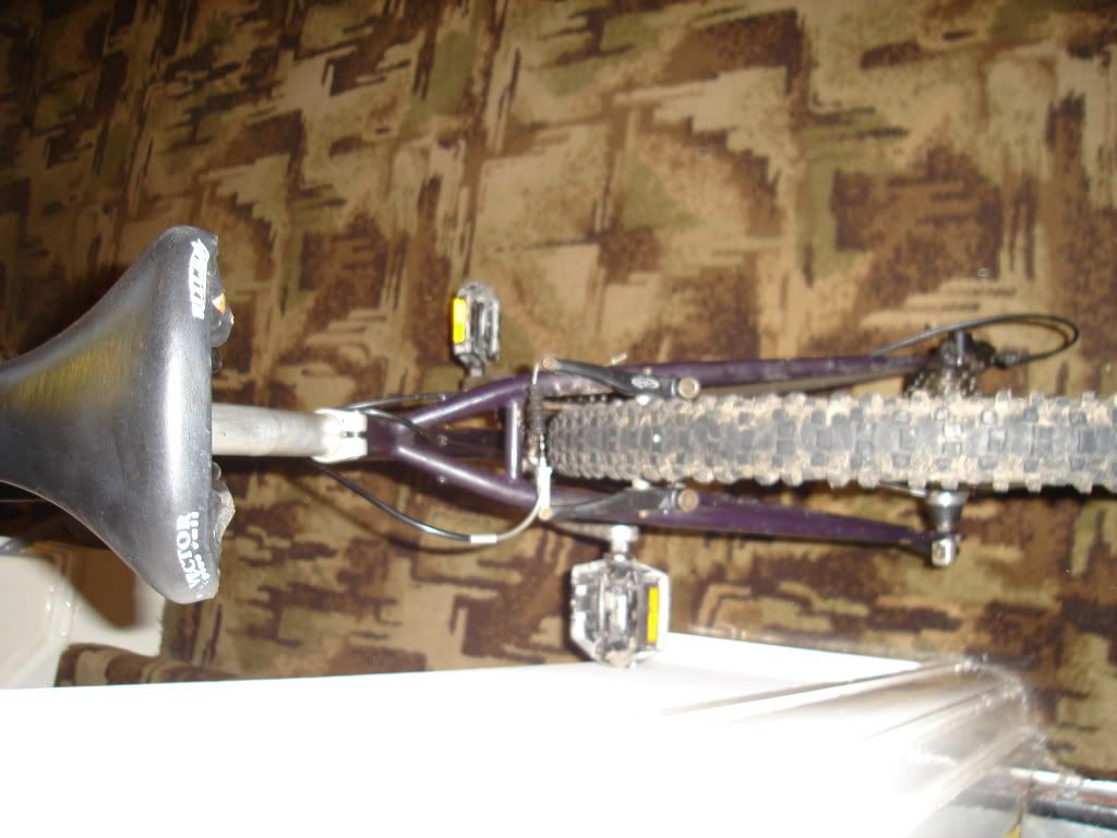DSC00644.jpg