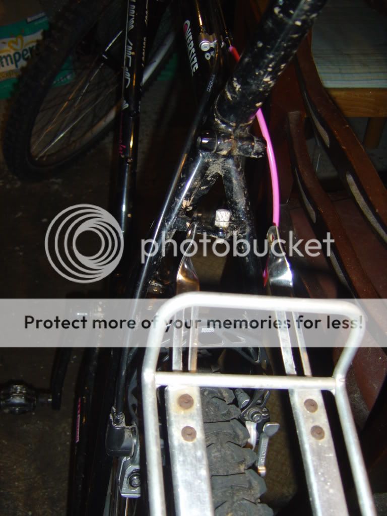pannier.jpg