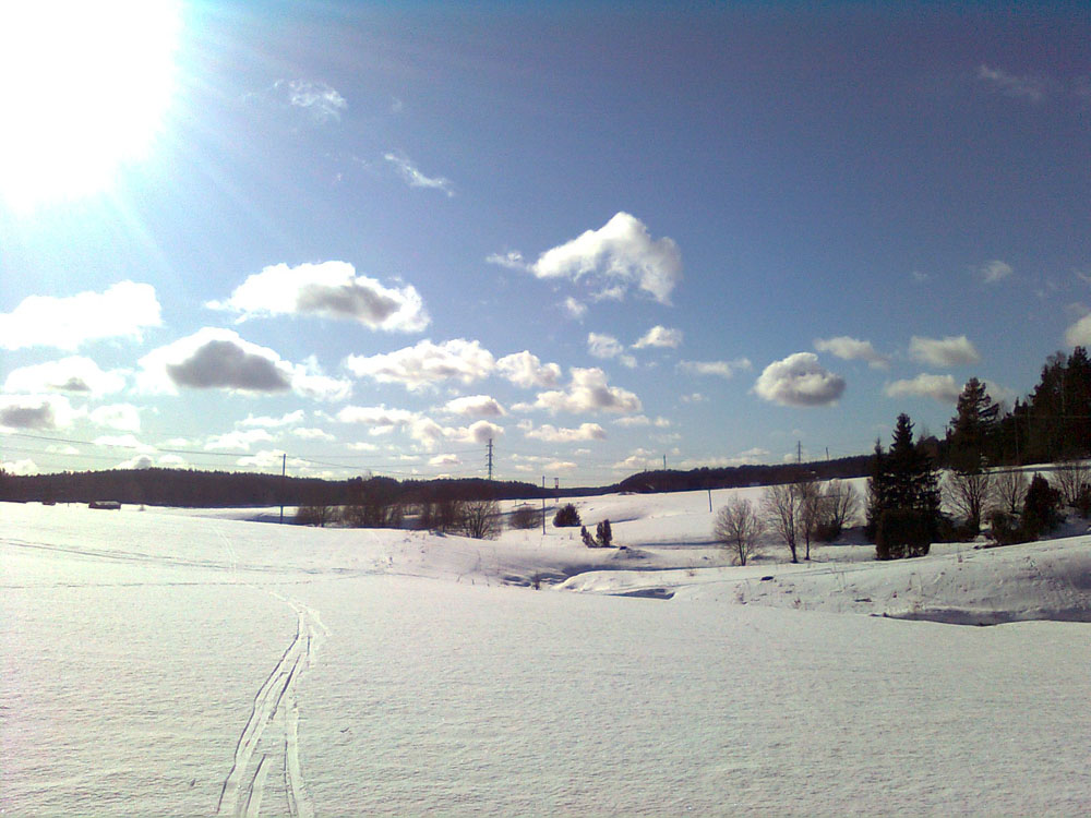 4429276498_9af98a5106_o.jpg