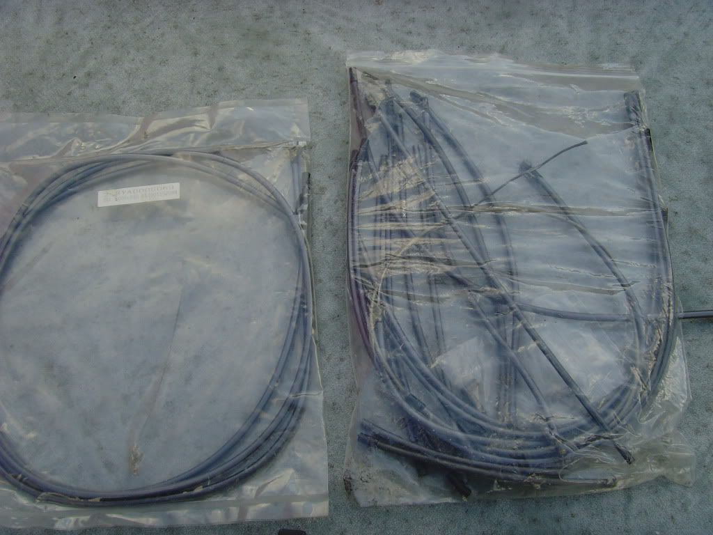 SNV36144.jpg