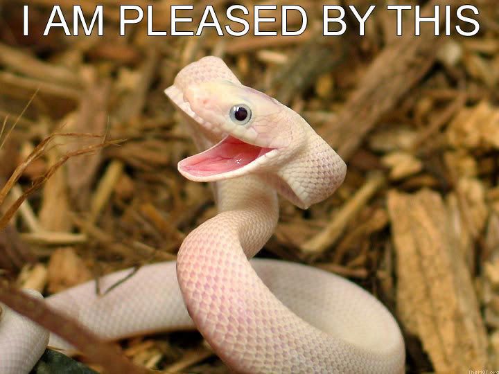 SnakePleased.jpg
