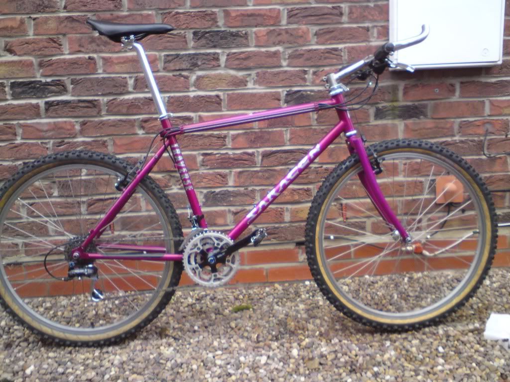saracen traverse pro