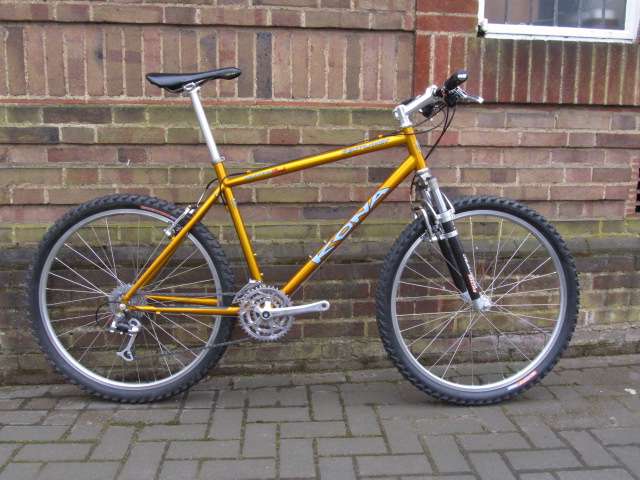 img0956lz.jpg