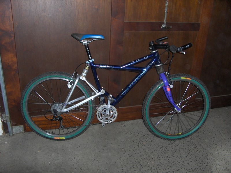 pbpic1960616.jpg