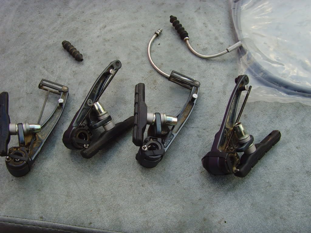 SNV36149.jpg