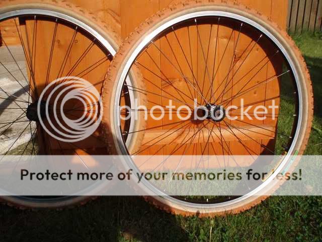 bont1.jpg