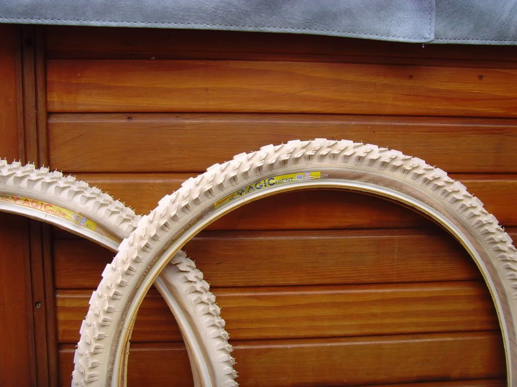 SNV36397.jpg