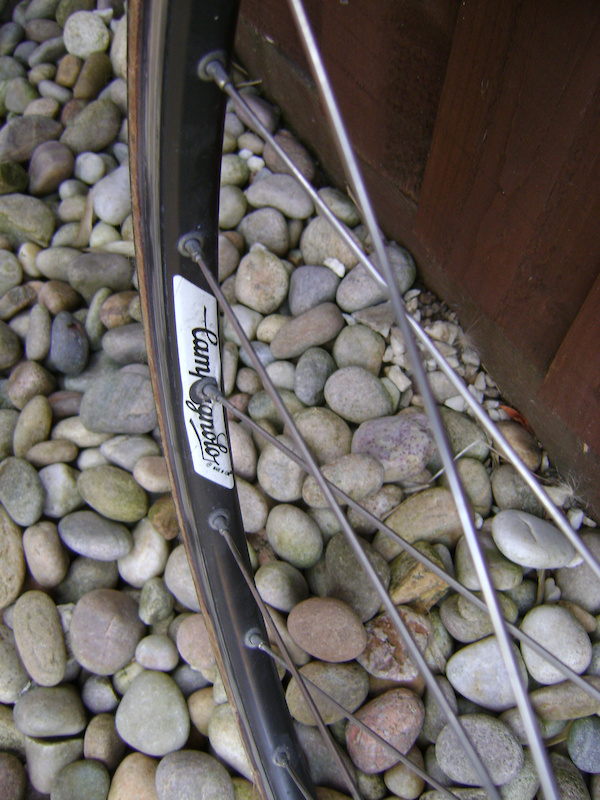 p4pb7234839.jpg