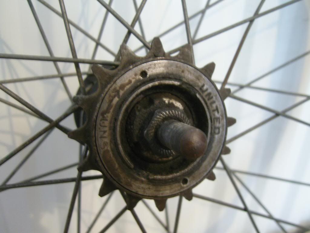 SNC10123.jpg