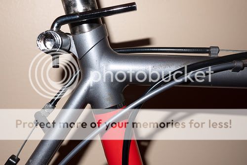 4496015250_0ed33eb2cc.jpg