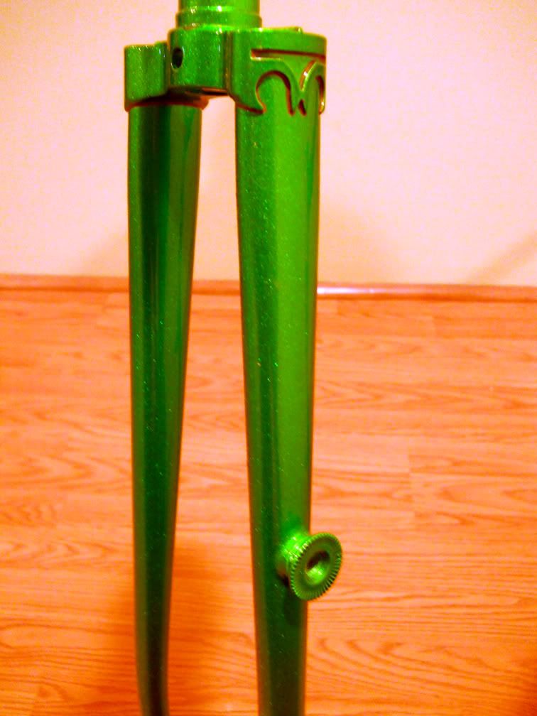 DSCN2679.jpg