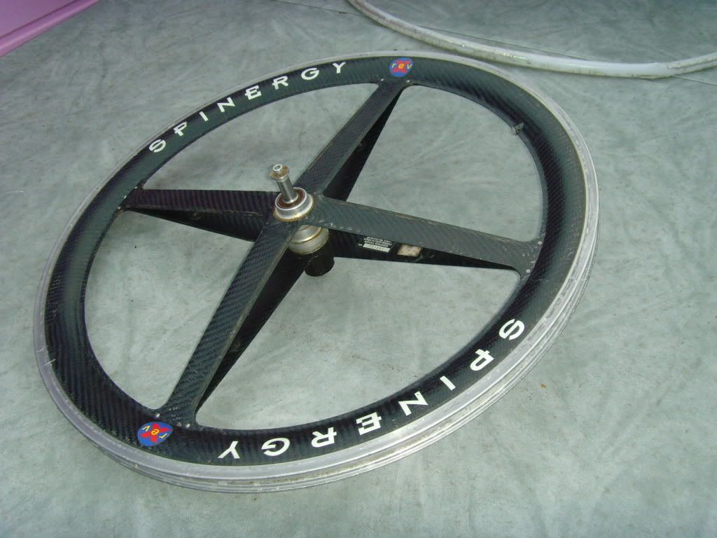 SNV36209.jpg