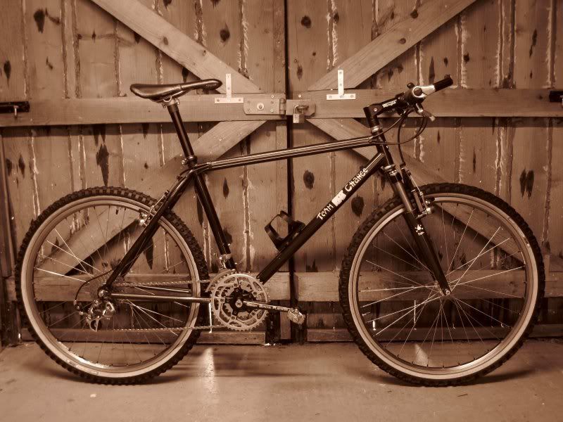 YoTripod051-1.jpg